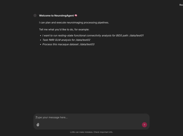 NeuroImgAgent 界面截图